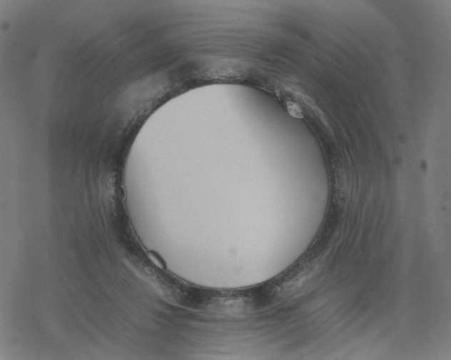 X0000077280260200611101325