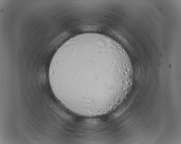 X0000077280261200611101325