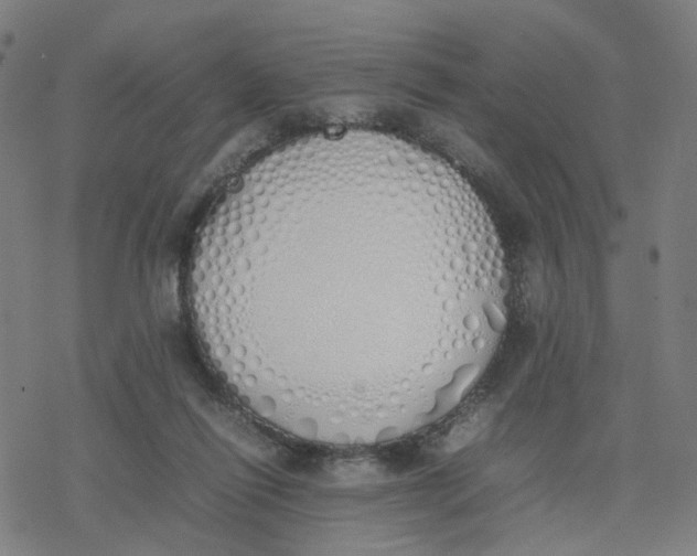 X0000077280262200611101325