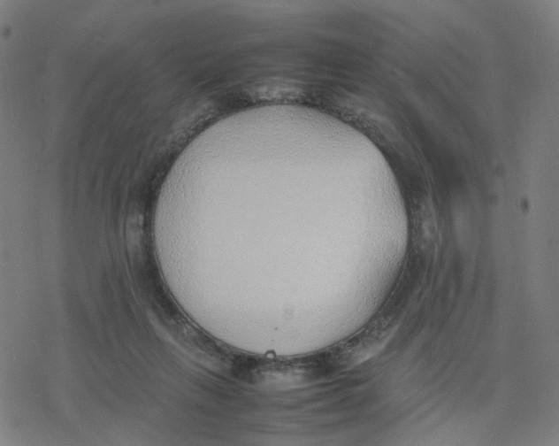 X0000077280263200611101325