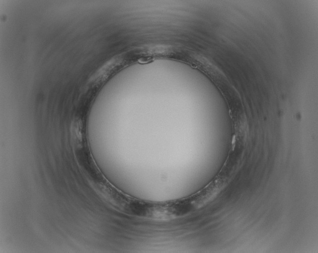 X0000077280264200611101325