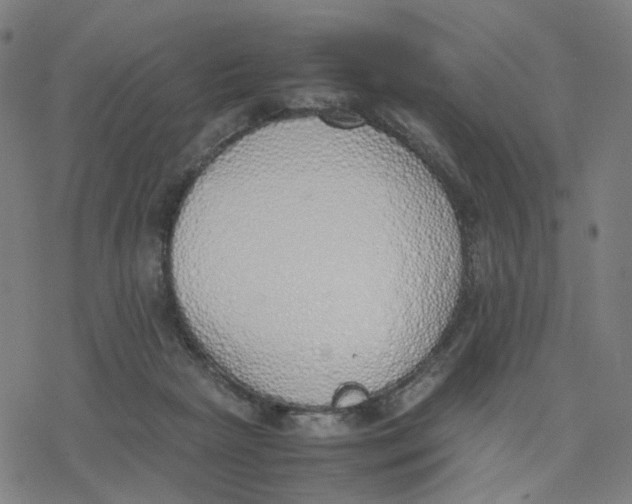 X0000077280265200611101325