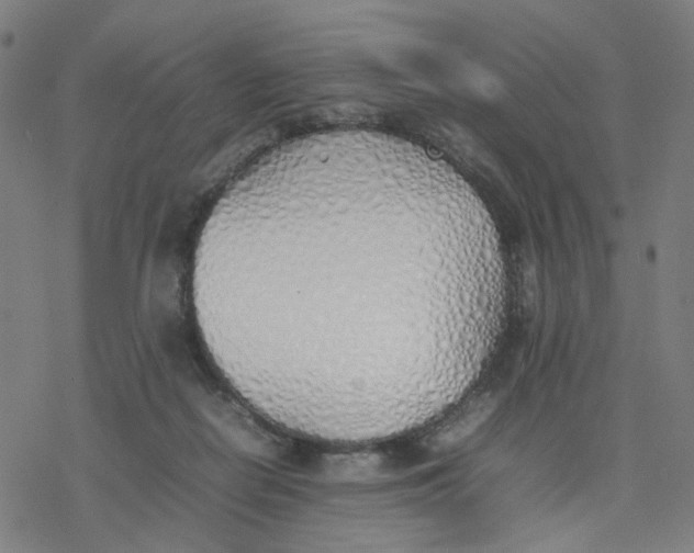 X0000077280266200611101325