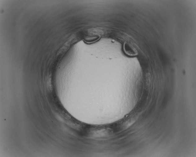 X0000077280267200611101325