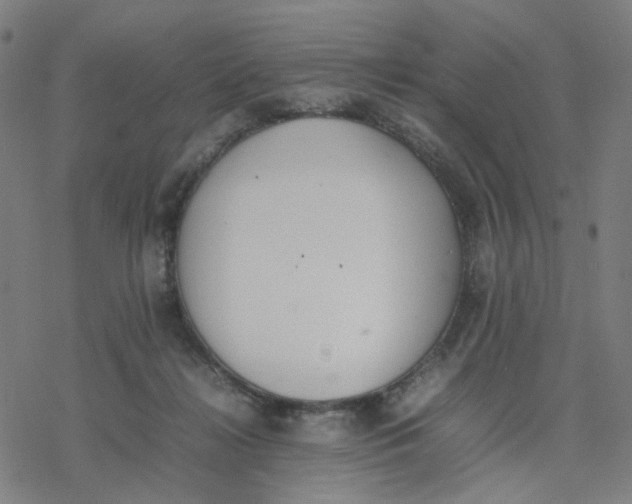 X0000077280268200611101325