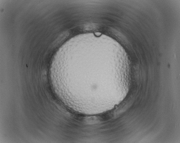 X0000077280269200611101325