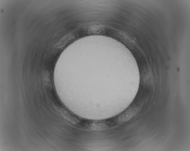 X0000077280270200611101325