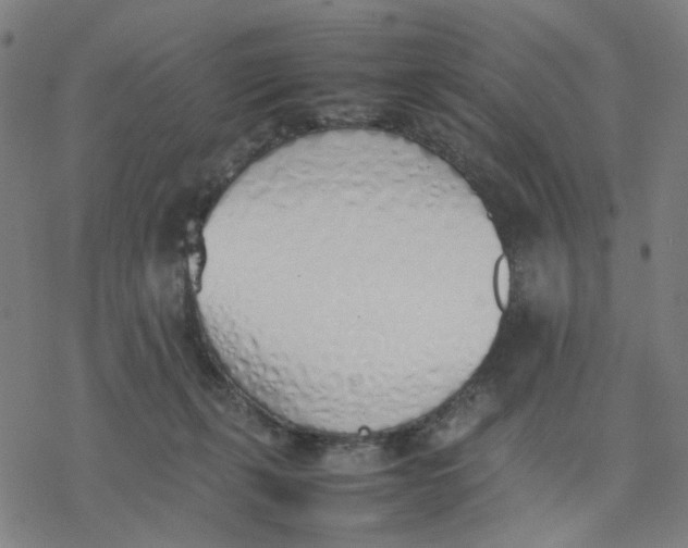 X0000077280271200611101325