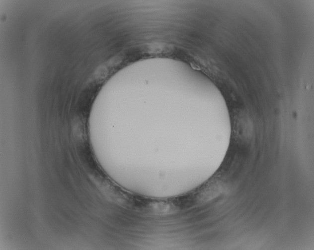 X0000077280272200611101325