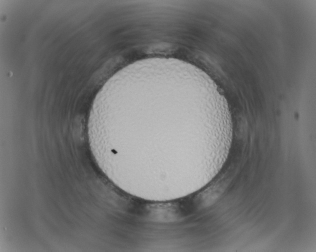 X0000077280273200611101325