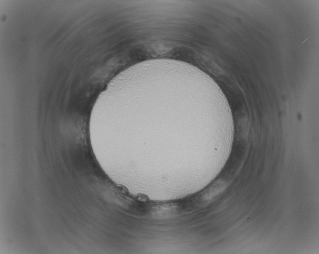 X0000077280274200611101325