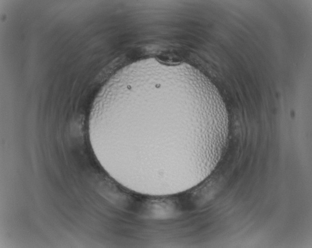 X0000077280275200611101325