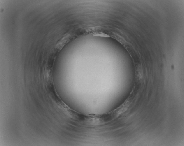 X0000077280276200611101325