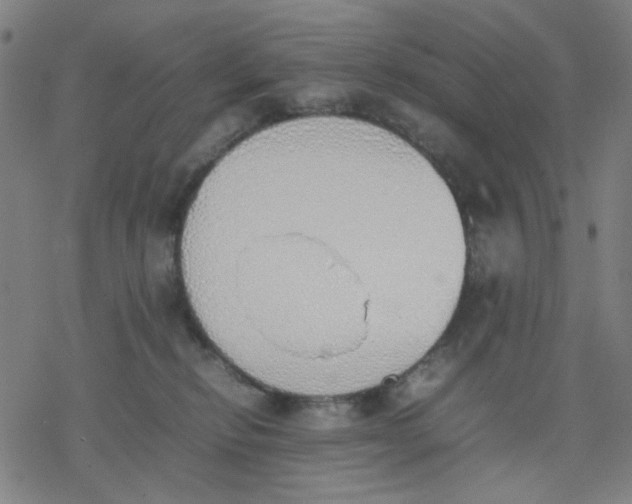 X0000077280278200611101325