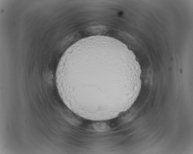 X0000077280279200611101325