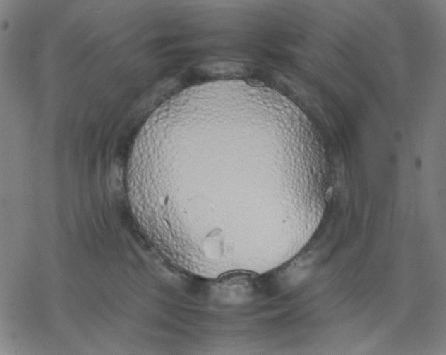 X0000077280281200611101325