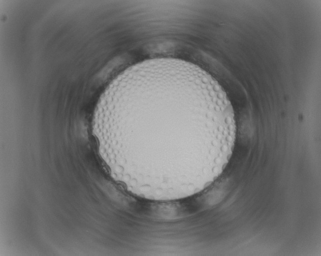 X0000077280282200611101325