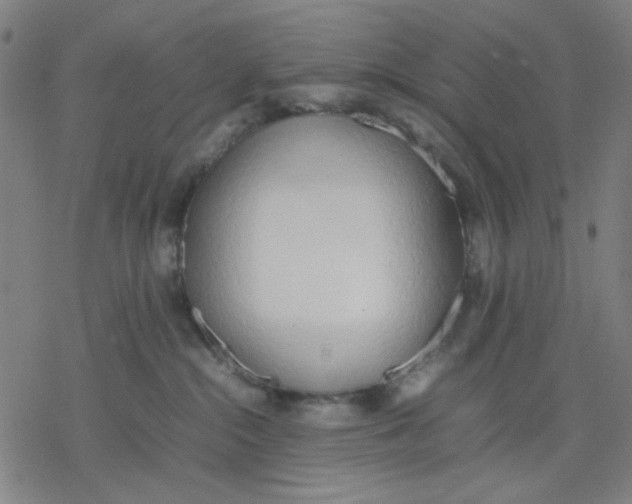 X0000077280284200611101325