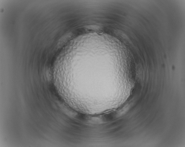 X0000077280285200611101325