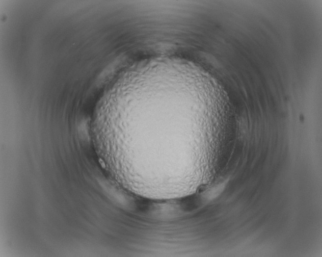 X0000077280286200611101325