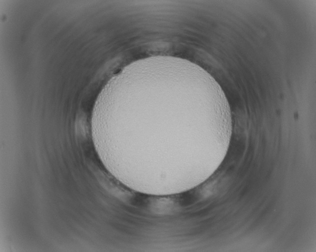 X0000077280287200611101325