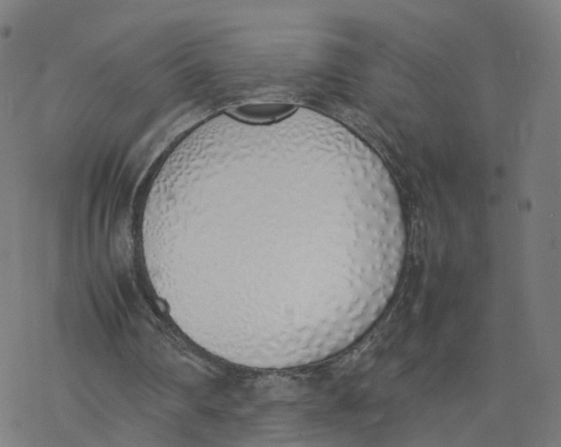 X0000077280290200611101325