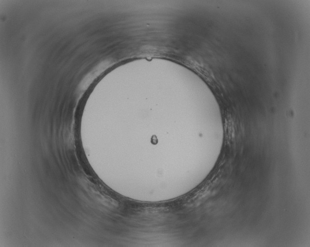 X0000077280292200611101325