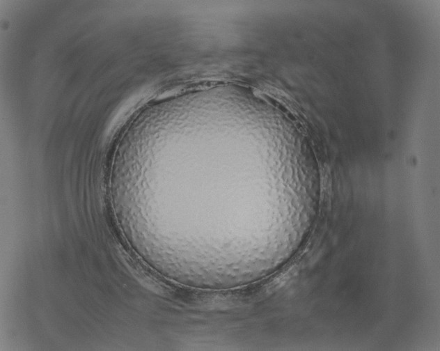 X0000077280293200611101325