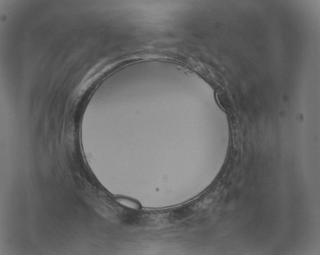 X0000077280295200611101325