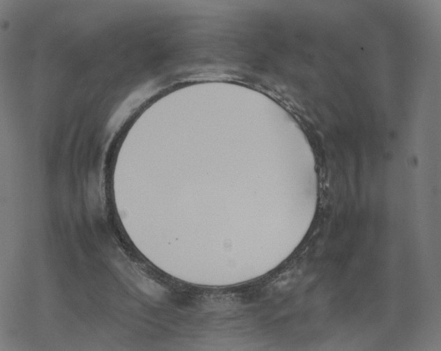 X0000077280296200611101325