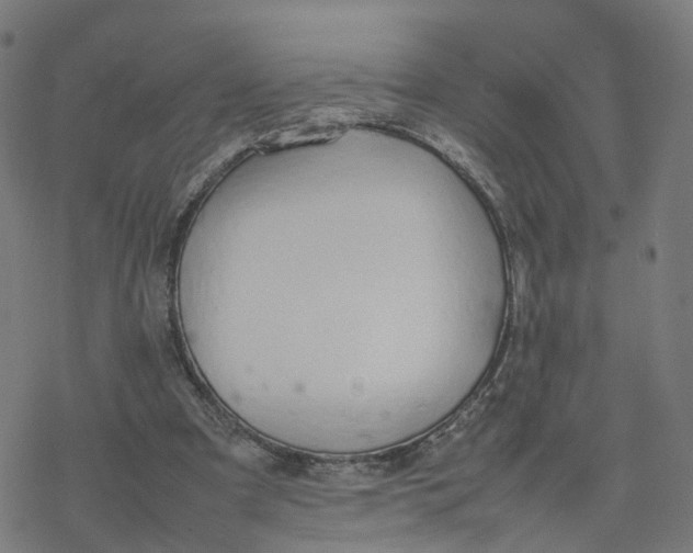 X0000077280297200611101325