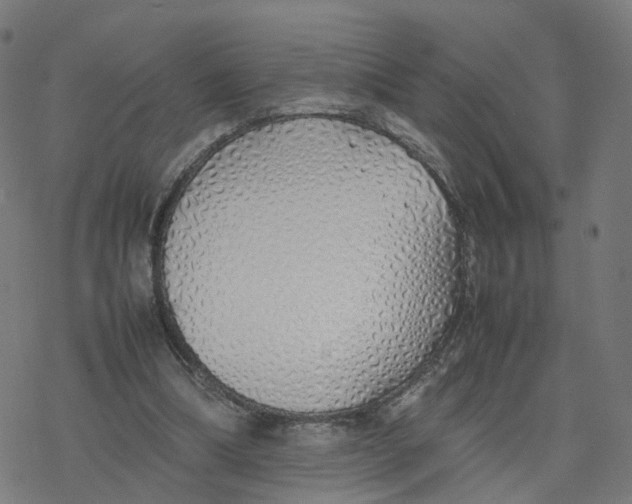 X0000077280298200611101325