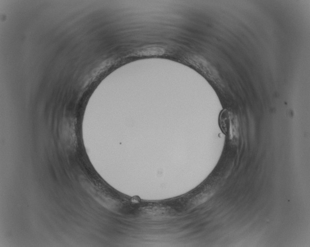 X0000077280300200611101324