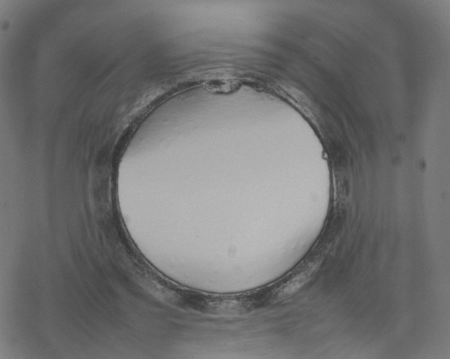 X0000077280301200611101324