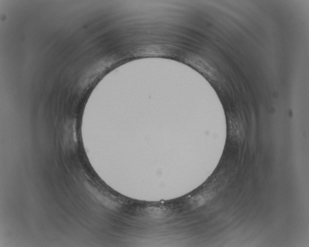 X0000077280302200611101324