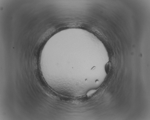 X0000077280303200611101324