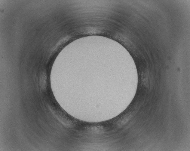 X0000077280304200611101324