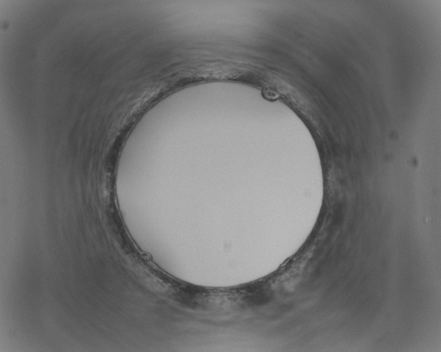 X0000077280305200611101324