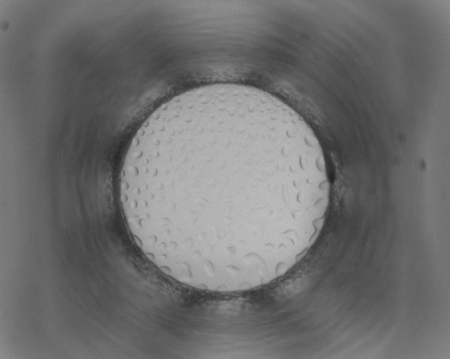 X0000077280306200611101324