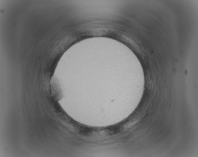 X0000077280307200611101324