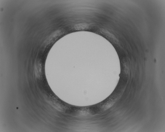 X0000077280308200611101324