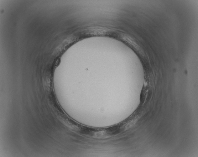 X0000077280309200611101324