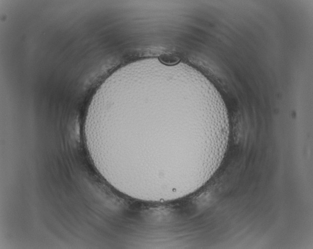 X0000077280310200611101324