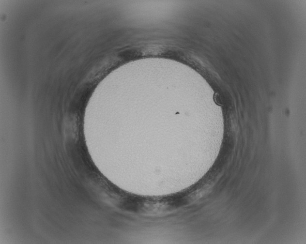 X0000077280311200611101324