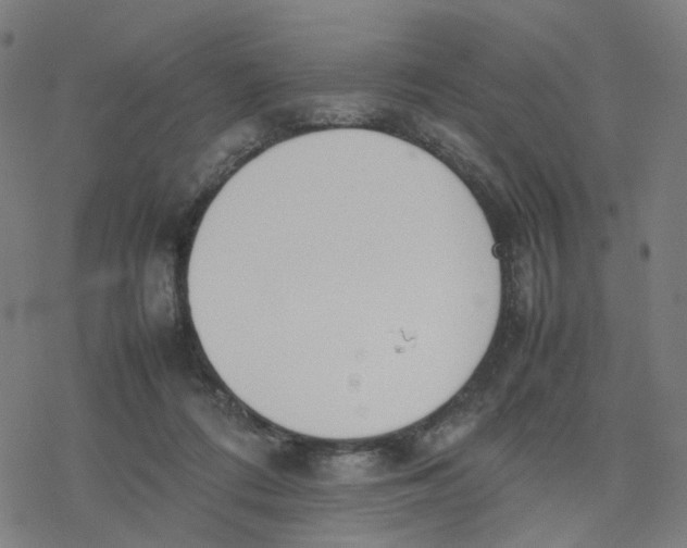 X0000077280312200611101324