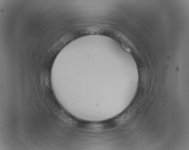 X0000077280313200611101324