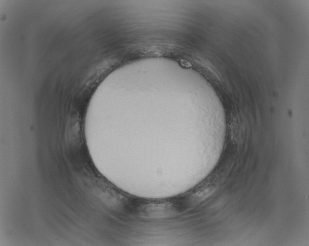 X0000077280314200611101324