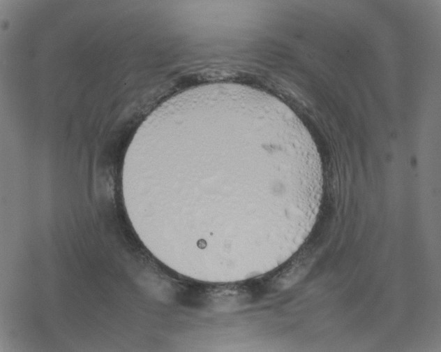 X0000077280315200611101324