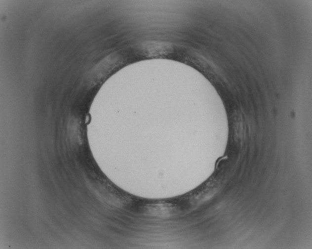 X0000077280316200611101324