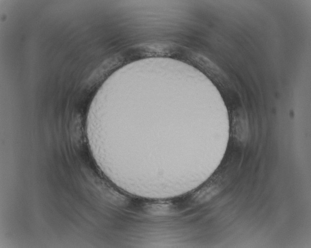 X0000077280318200611101324